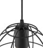 Vector Black Metal Hanging Light