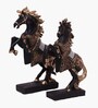 Black Jewellery Horse Showpiece Set Of 2