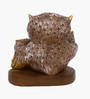 Mud Color Owl Showpiece 3 Peice Set