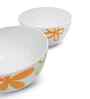 Veg Bowl Set