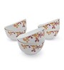 Veg Bowl Set