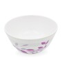 Veg Bowl Set
