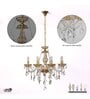 Vela 8 Arm Ceiling Chandelier In Brass  & Clear Finish With Glass Crystal Drops & Trim