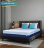Vellora Dual Comfort Orthopedic 8 Inches HR Foam Queen Size Mattress With Removable Zipper Cover