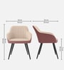 Velmora Premium Armchair In Beige Colour
