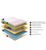 Velocity 3 Zoned Pocket Spring 6 Inch Queen Size Mattress