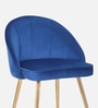 Velutinous Velvet Guest Chairs In Blue  Colour