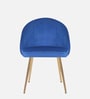 Velutinous Velvet Guest Chairs In Blue  Colour