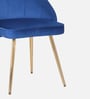 Velutinous Velvet Guest Chairs In Blue  Colour