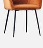 Velutinous Velvet Guest Chairs In Orange  Colour