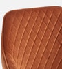Velutinous Velvet Guest Chairs In Orange  Colour