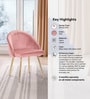 Velutinous Velvet Guest Chairs In Pink Colour