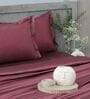 Velvet Wine 400TC 100% Cotton Solid Flat Super King Bedsheet With 2 Pillow Covers