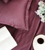 Velvet Wine 400TC 100% Cotton Solid Flat Super King Bedsheet With 2 Pillow Covers