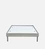Velvette Fabric Upholstered Queen Size Bed in Grey Finish