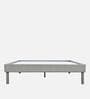 Velvette Fabric Upholstered Queen Size Bed in Grey Finish