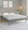 Velvette Fabric Upholstered King Size Bed in Grey Finish