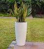 White Venice Garden 33 Cm Planter