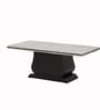 Venice Italian Marble Top Coffee Table In Brown Finish
