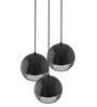 Venus Black Metal Cluster Hanging Light