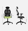 Venus Magic High Back Office Chair In Black & Green Colour