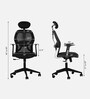 Venus Magic High Back Office Chair In Black Colour