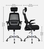 Vergo High Back Breathable Mesh Ergonomic Chair In Black Colour