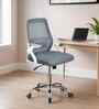 Vergo Mid Back Breathable Mesh Ergonomic Chair In Grey Colour