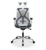 Verona Ergonomic Chair In White And Grey Finish