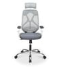 Verona Ergonomic Chair In White And Grey Finish