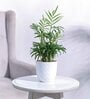Verona Mocca (Set of 3) Plastic Planters