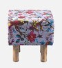 Verona Ottoman Set Of 2 In Grey Colour