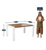 Verona Sheesham Wood 6 Seater Dining Table in Distress Finish