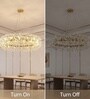 Versailles Aura Round Crystal Chandelier 600mm Gold Finish Bulb