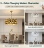 Versailles Gold Disc Pendant Chandelier E14 Ceiling Light