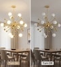 Versailles Gold Starburst 12-Light Chandelier for Living Room