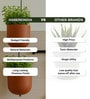 Set Of 2 Red Terracotta Plant Pot
