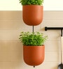 Set Of 2 Red Terracotta Plant Pot