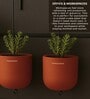 Set Of 2 Red Terracotta Plant Pot