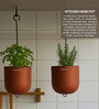 Set Of 2 Red Terracotta Plant Pot