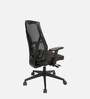 Verta Breathable Mesh MB Ergonomic Chair in Black Colour