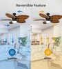 Vexo Smart Fan Brown Metal , Google & Alexa Remote & App Control