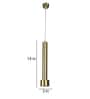 Veyra  Gold Iron Hanging Light  | Inbuilt LED |  | Eliante