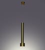 Veyra  Gold Iron Hanging Light  | Inbuilt LED |  | Eliante