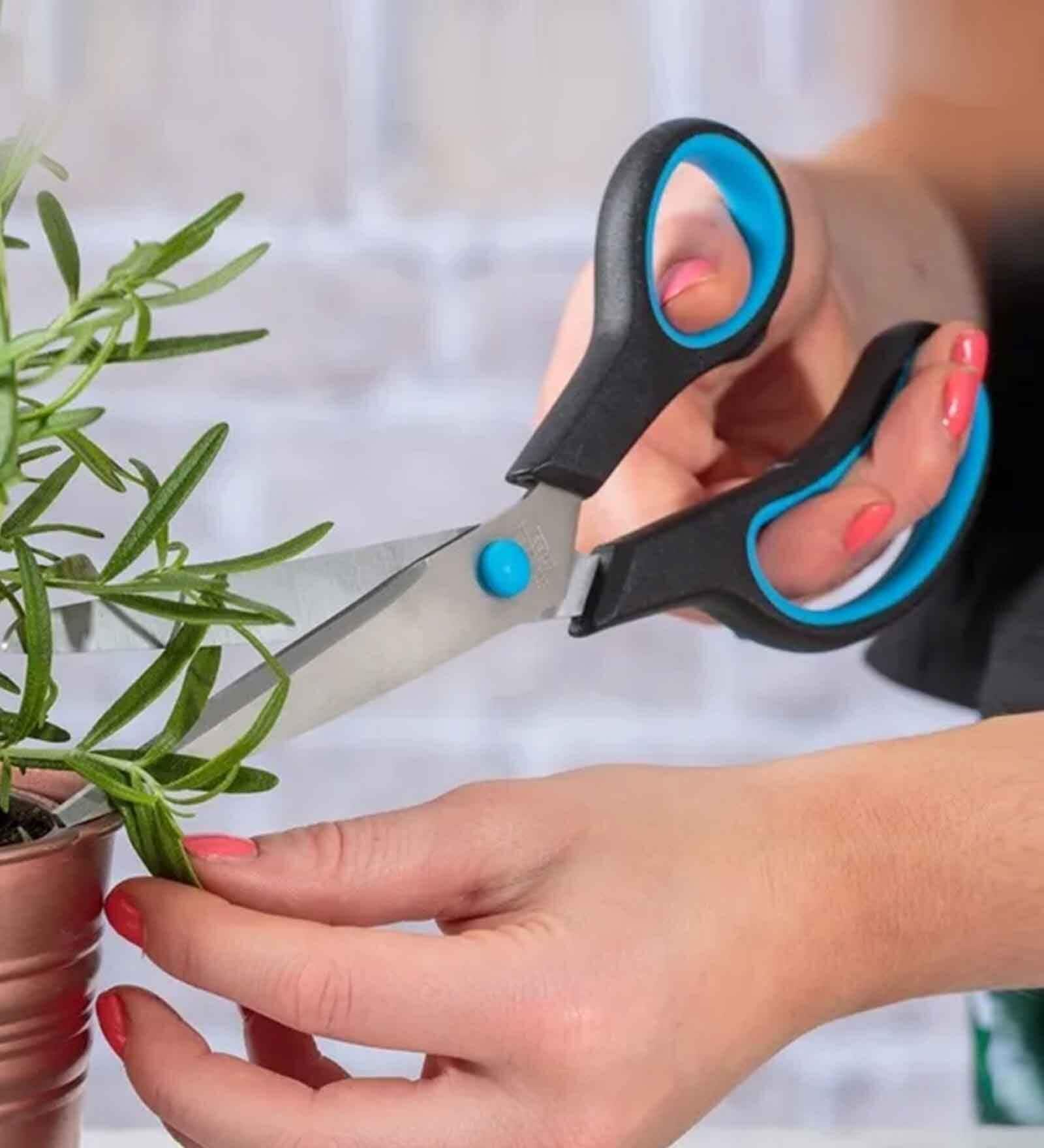 Viners Everyday Set of 2 Scissors | 8 Inch & 10 Inch Stainless Steel Multipurpose Kitchen Scissors | Black