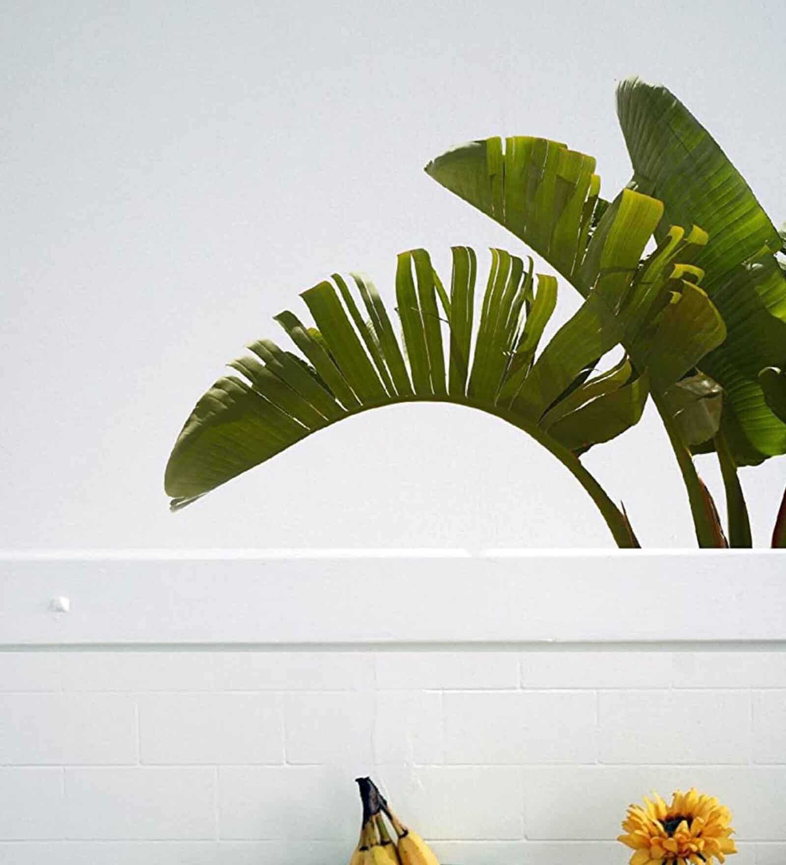 Vinyl Pretty Flower Joy Doraemon Wall Sticker