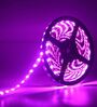 Vibrant 5 Meters 300K Pink Colour LED Strip Light with DC 12V Adapter & Remote