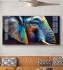 Vibrant Elephant Glass Finish Horizontal Wall Art