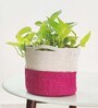 Vibrant Pink Cotton Planter