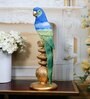 Vibrant Plumage Parrot Multicolour Polyresin Figurine
